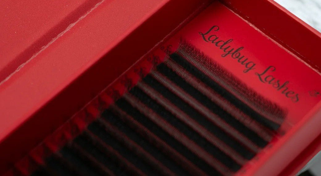 ladybuglashes lashglue lashtrays lashadhesive glueretention cloverlashes wlashes yylashes premades promades lashes