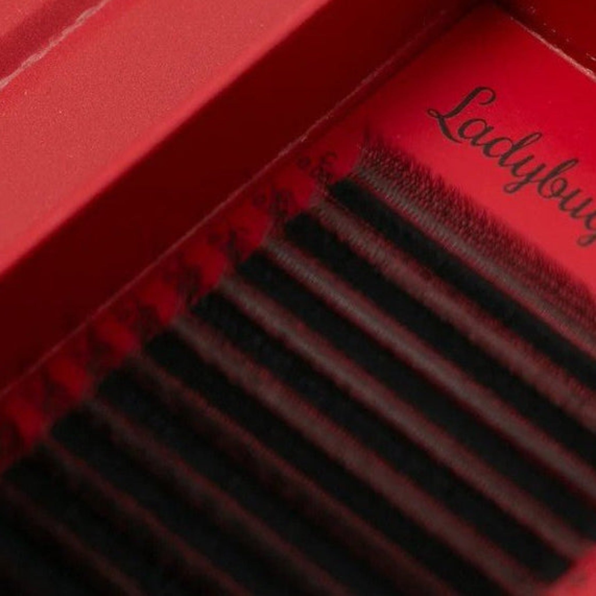 ladybuglashes lashglue lashtrays lashadhesive glueretention cloverlashes wlashes yylashes premades promades lashes