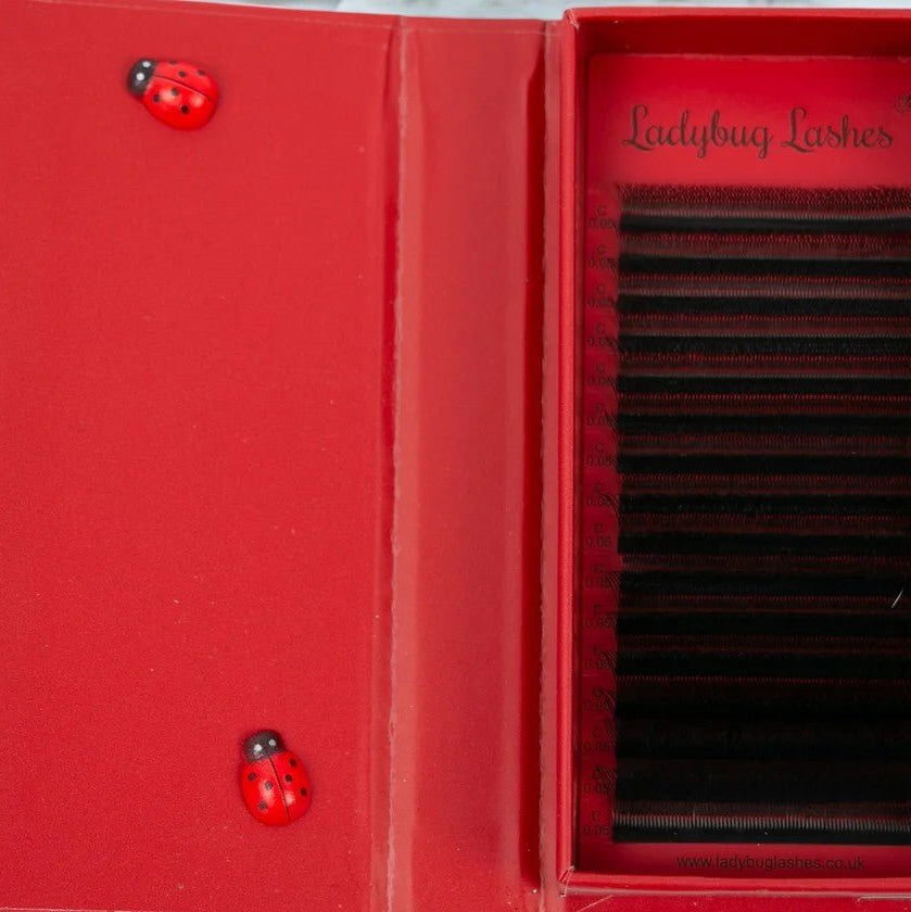 ladybuglashes lashglue lashtrays lashadhesive glueretention cloverlashes wlashes yylashes premades promades lashes