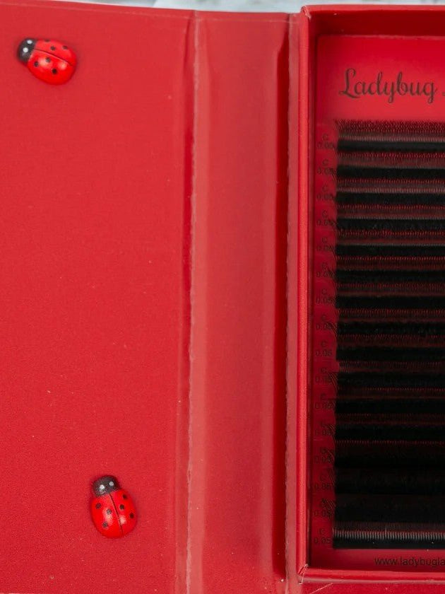 ladybuglashes lashglue lashtrays lashadhesive glueretention cloverlashes wlashes yylashes premades promades lashes