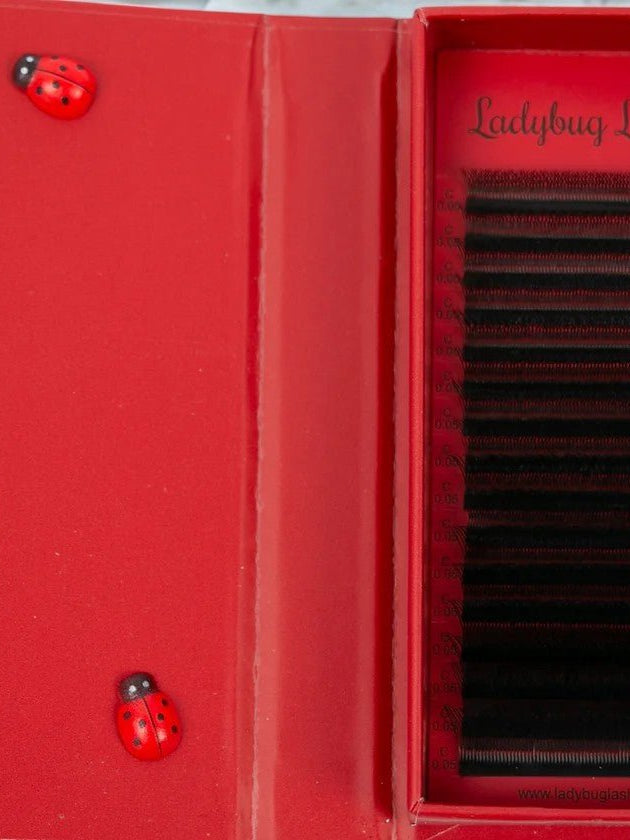 ladybuglashes lashglue lashtrays lashadhesive glueretention cloverlashes wlashes yylashes premades promades lashes