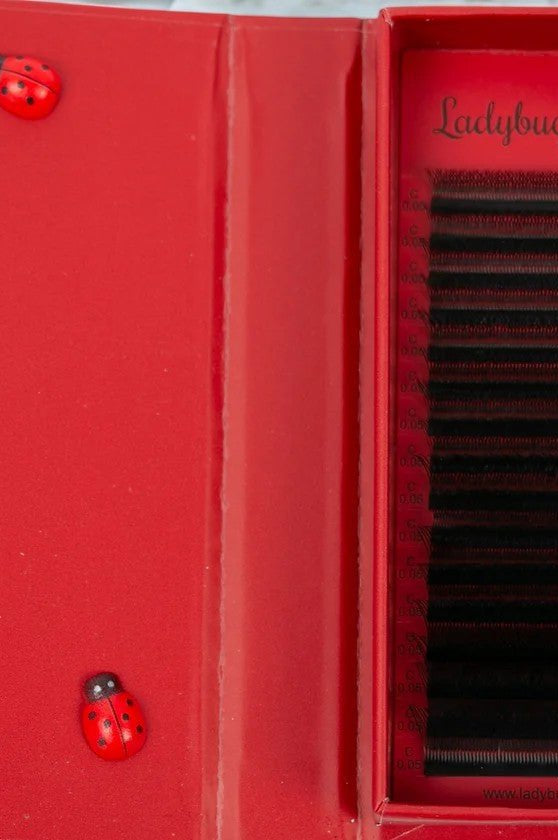 ladybuglashes lashglue lashtrays lashadhesive glueretention cloverlashes wlashes yylashes premades promades lashes