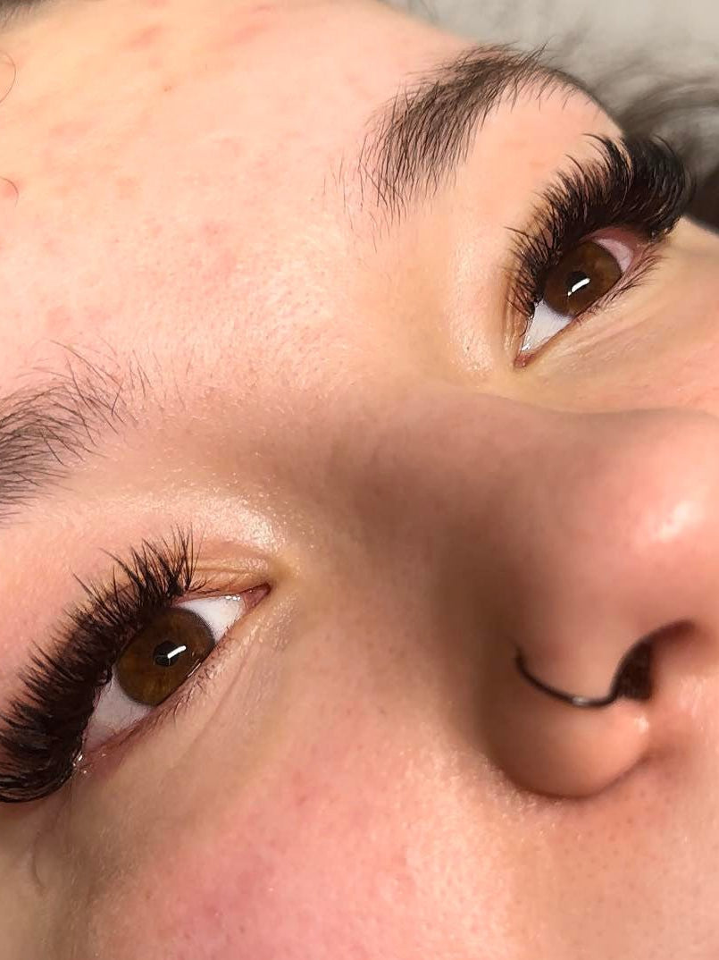 ladybuglashes lashglue lashtrays lashadhesive glueretention cloverlashes wlashes yylashes premades promades lashes