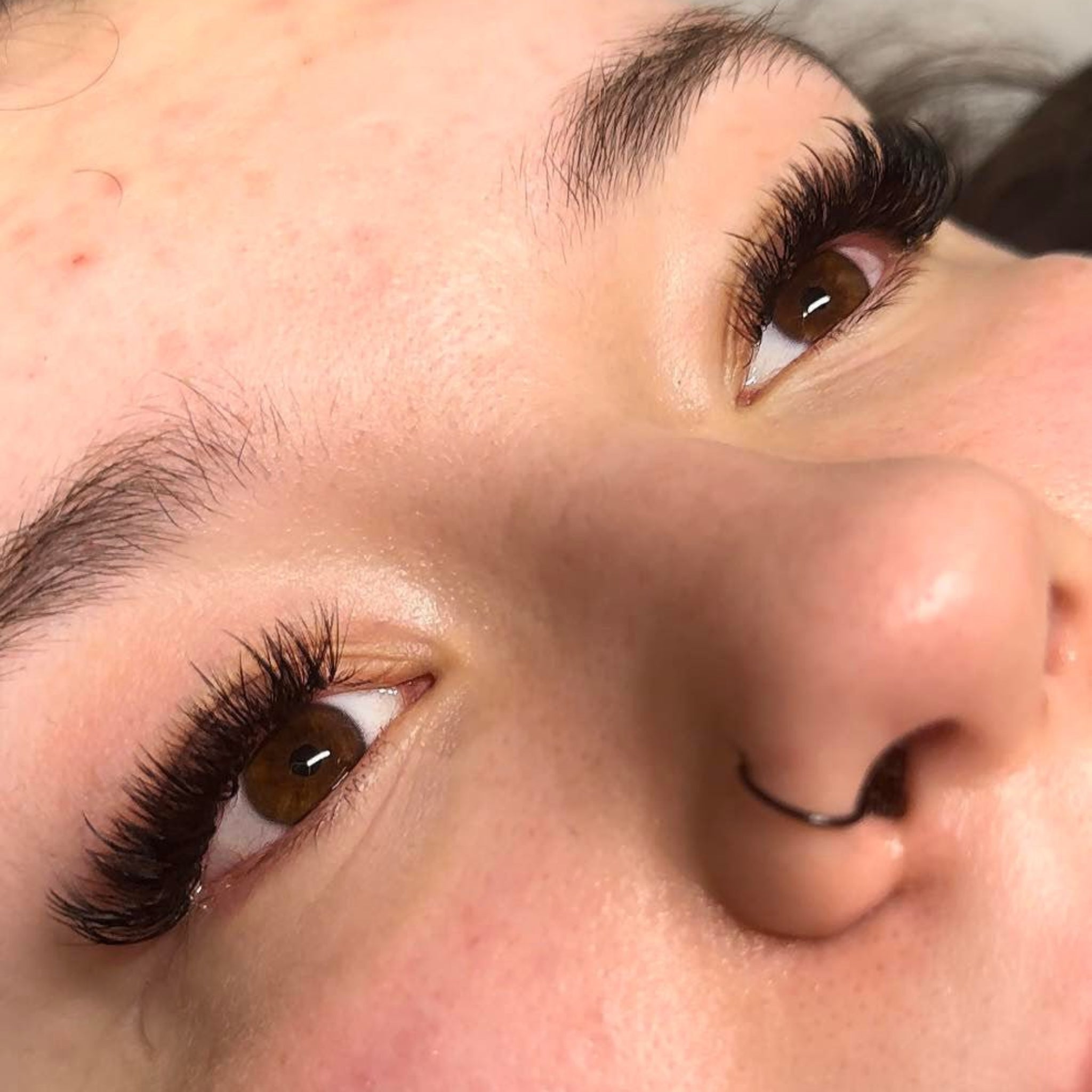 ladybuglashes lashglue lashtrays lashadhesive glueretention cloverlashes wlashes yylashes premades promades lashes