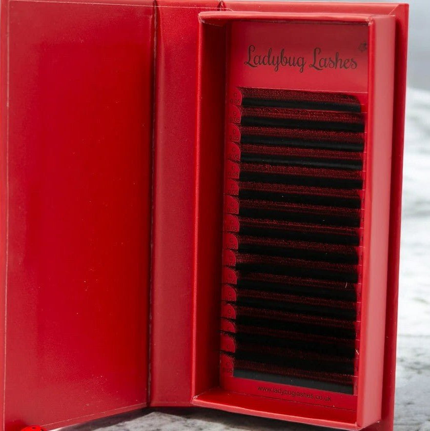 ladybuglashes lashglue lashtrays lashadhesive glueretention cloverlashes wlashes yylashes premades promades lashes