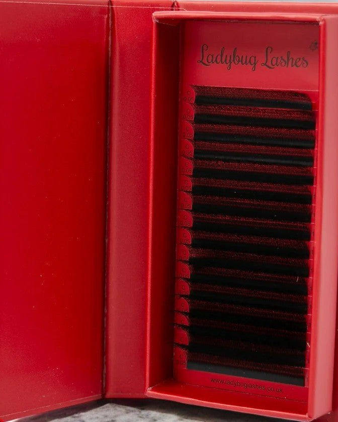 ladybuglashes lashglue lashtrays lashadhesive glueretention cloverlashes wlashes yylashes premades promades lashes