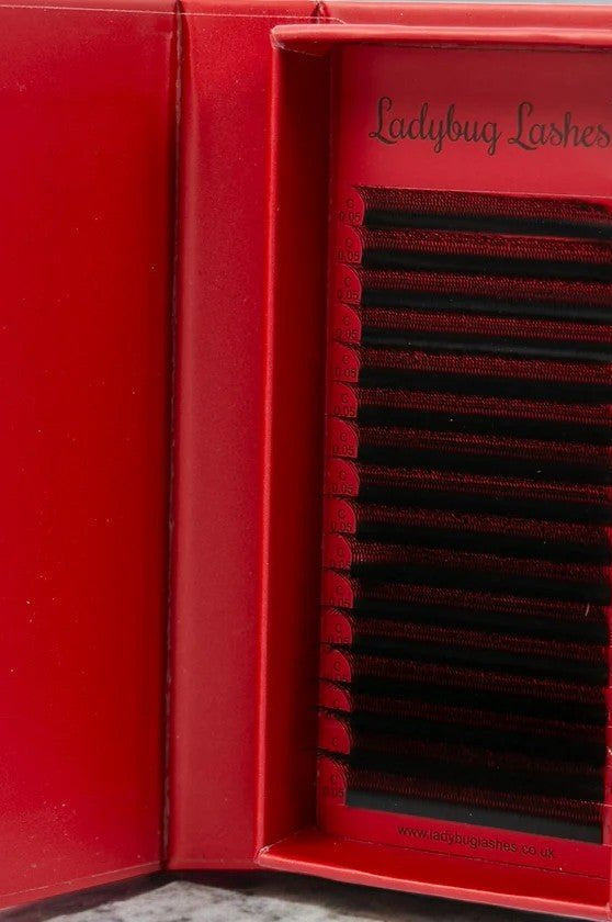 ladybuglashes lashglue lashtrays lashadhesive glueretention cloverlashes wlashes yylashes premades promades lashes