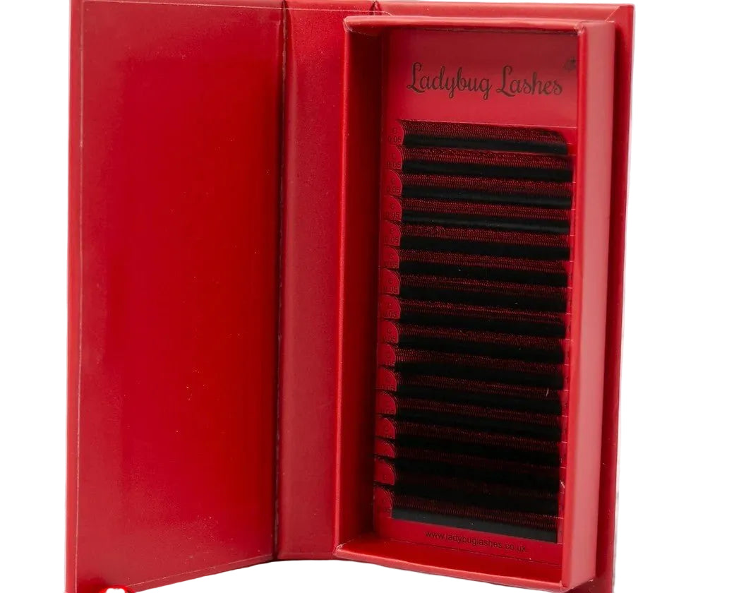 ladybuglashes lashglue lashtrays lashadhesive glueretention cloverlashes wlashes yylashes premades promades lashes
