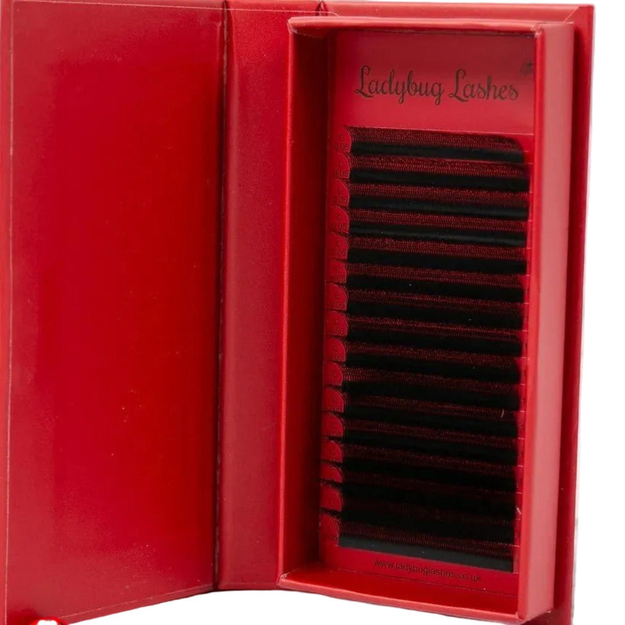 ladybuglashes lashglue lashtrays lashadhesive glueretention cloverlashes wlashes yylashes premades promades lashes