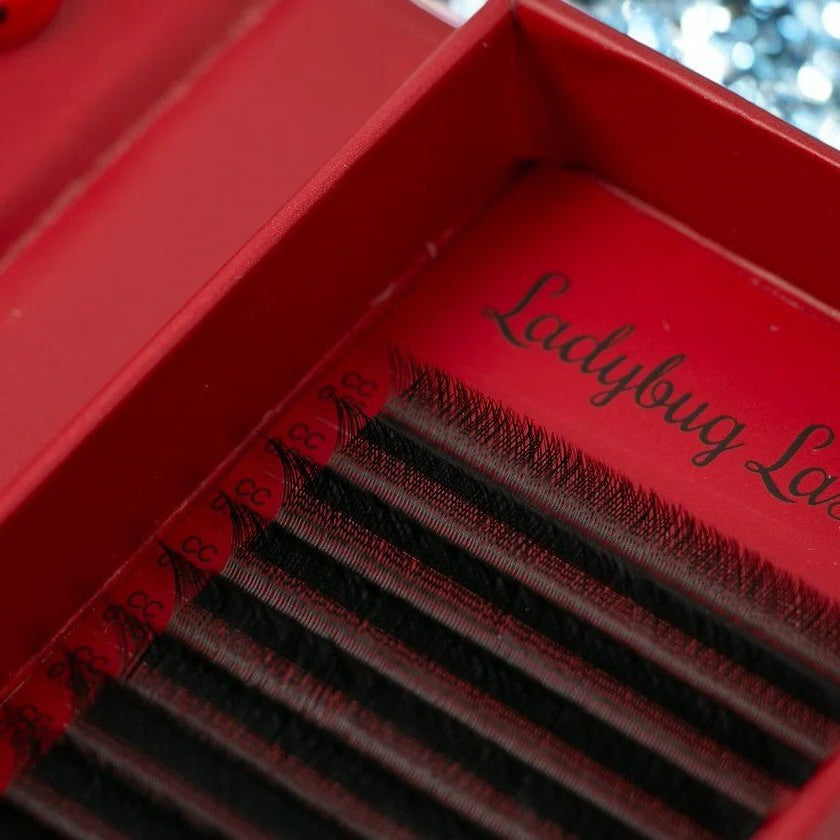 ladybuglashes lashglue lashtrays lashadhesive glueretention cloverlashes wlashes yylashes premades promades lashes