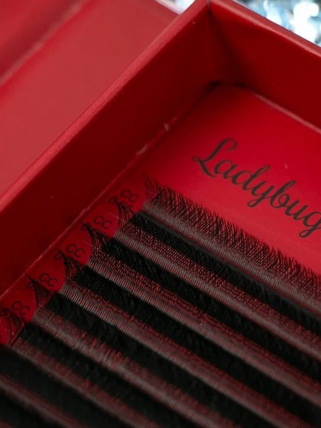 ladybuglashes lashglue lashtrays lashadhesive glueretention cloverlashes wlashes yylashes premades promades lashes