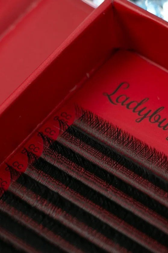 ladybuglashes lashglue lashtrays lashadhesive glueretention cloverlashes wlashes yylashes premades promades lashes