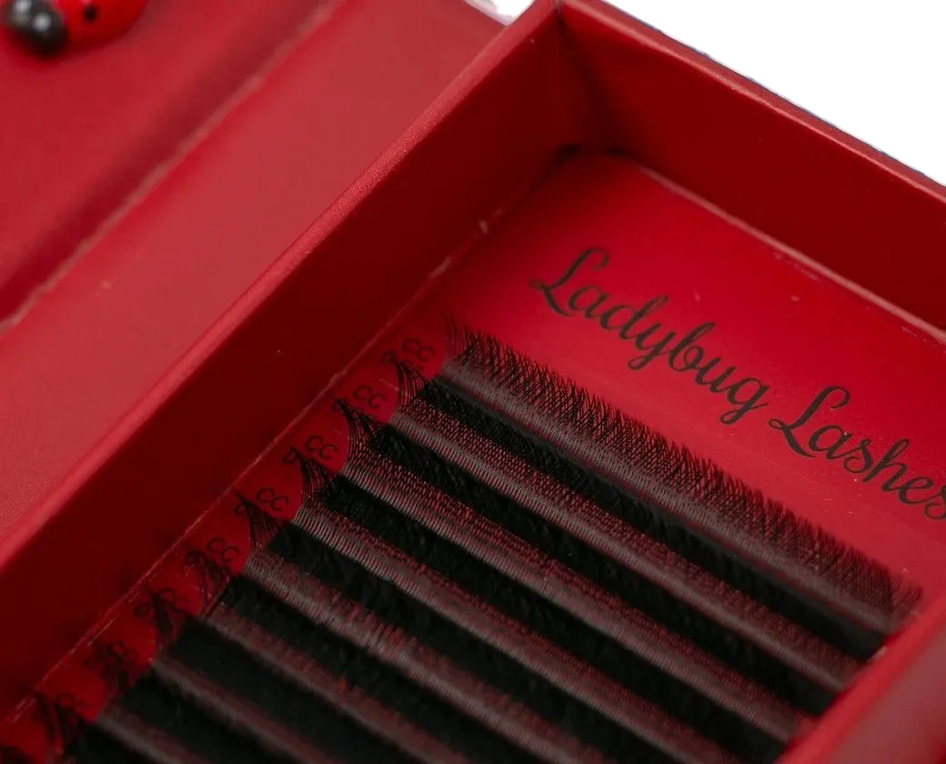 ladybuglashes lashglue lashtrays lashadhesive glueretention cloverlashes wlashes yylashes premades promades lashes
