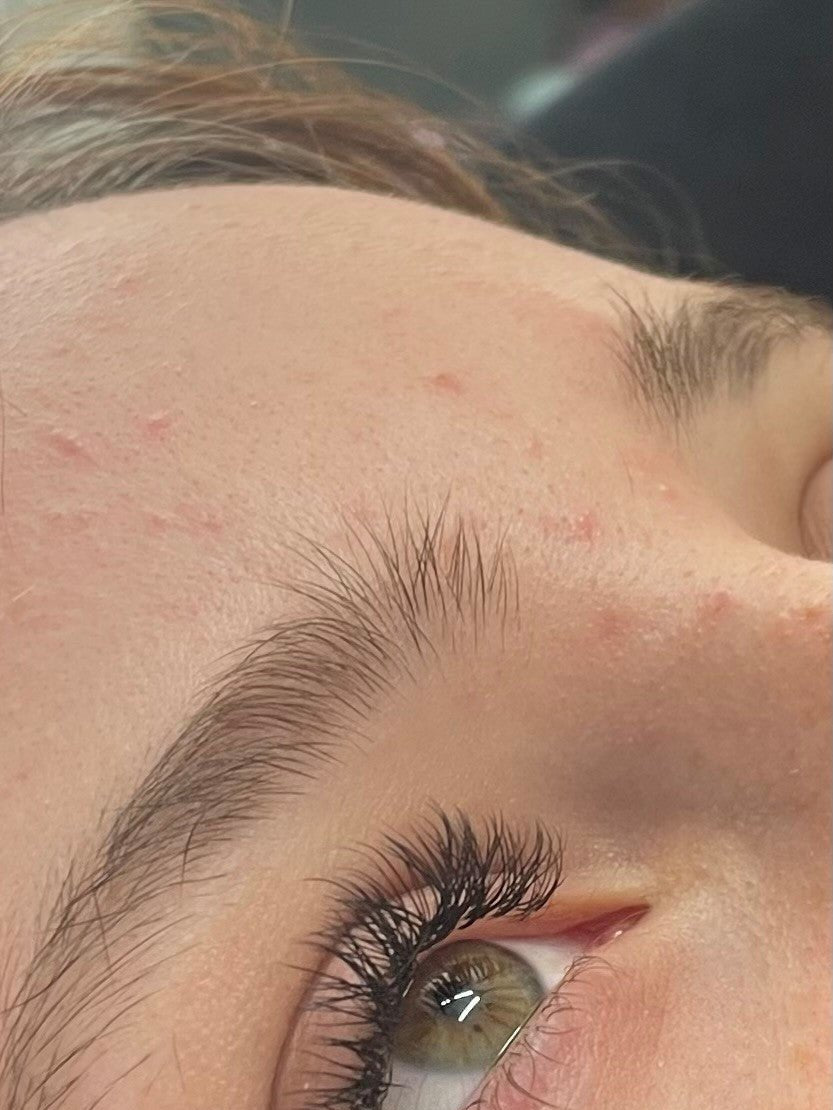 ladybuglashes lashglue lashtrays lashadhesive glueretention cloverlashes wlashes yylashes premades promades lashes