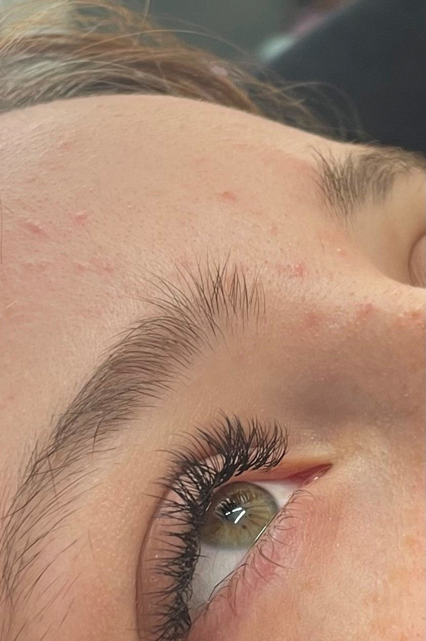 ladybuglashes lashglue lashtrays lashadhesive glueretention cloverlashes wlashes yylashes premades promades lashes