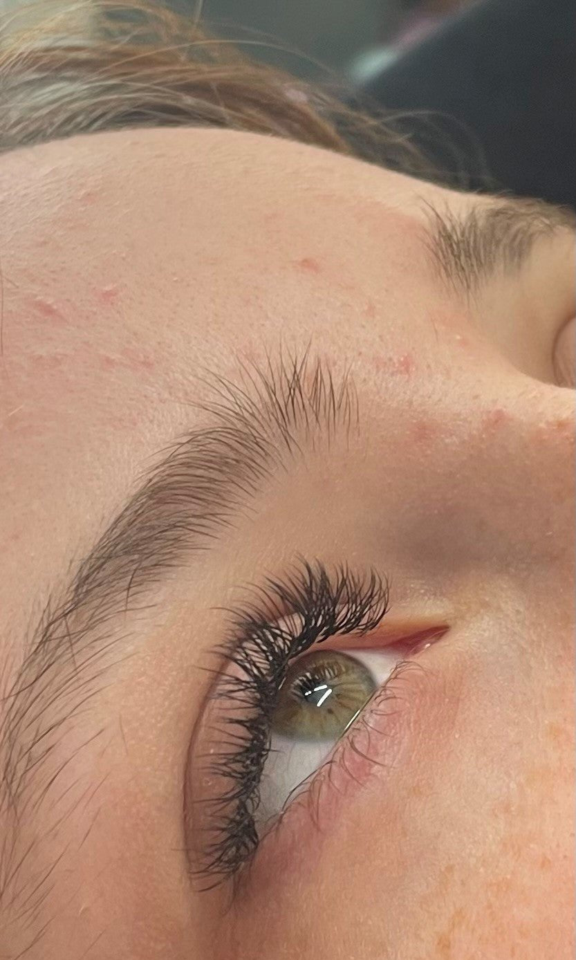 ladybuglashes lashglue lashtrays lashadhesive glueretention cloverlashes wlashes yylashes premades promades lashes