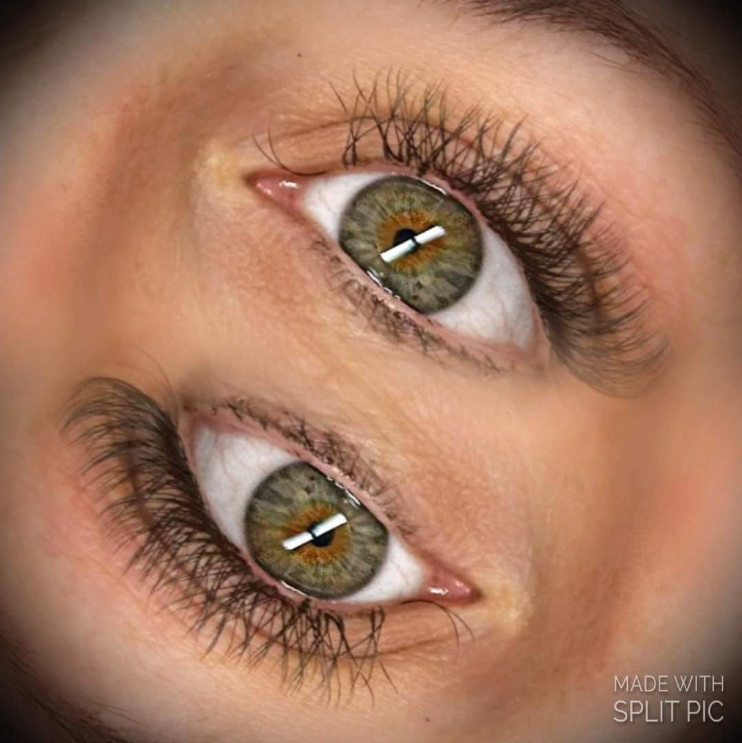 ladybuglashes lashglue lashtrays lashadhesive glueretention cloverlashes wlashes yylashes premades promades lashes