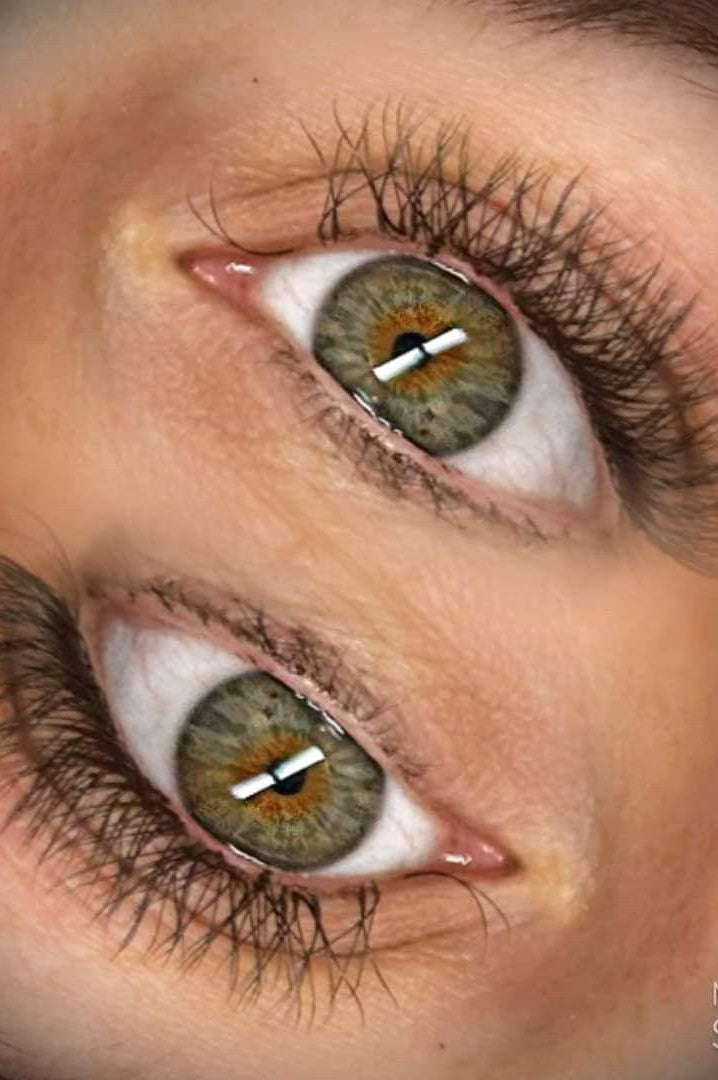 ladybuglashes lashglue lashtrays lashadhesive glueretention cloverlashes wlashes yylashes premades promades lashes