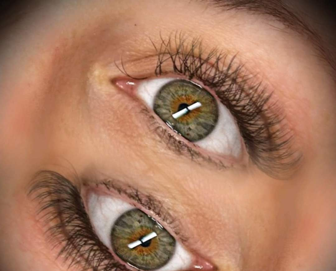 ladybuglashes lashglue lashtrays lashadhesive glueretention cloverlashes wlashes yylashes premades promades lashes