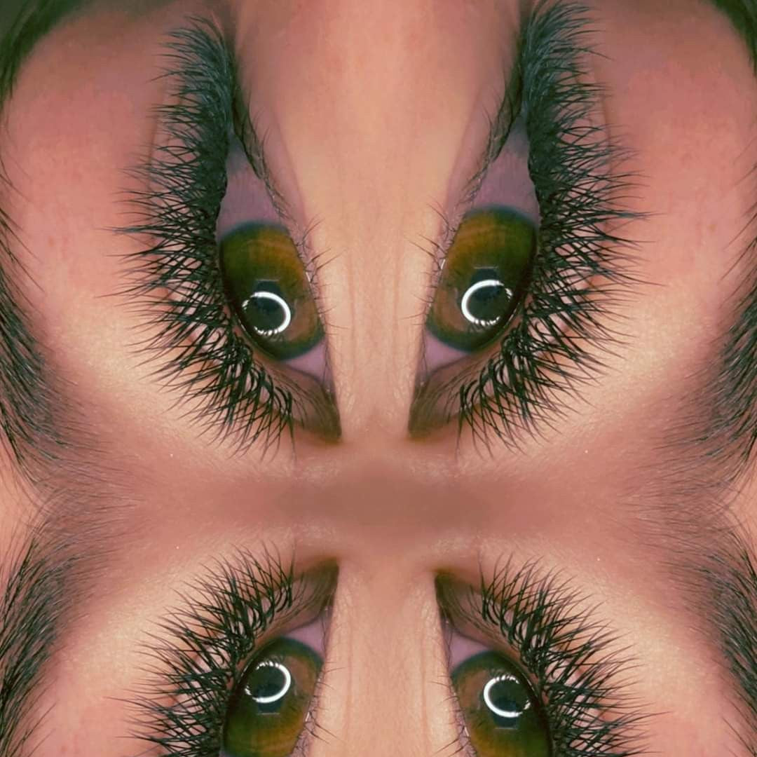 ladybuglashes lashglue lashtrays lashadhesive glueretention cloverlashes wlashes yylashes premades promades lashes