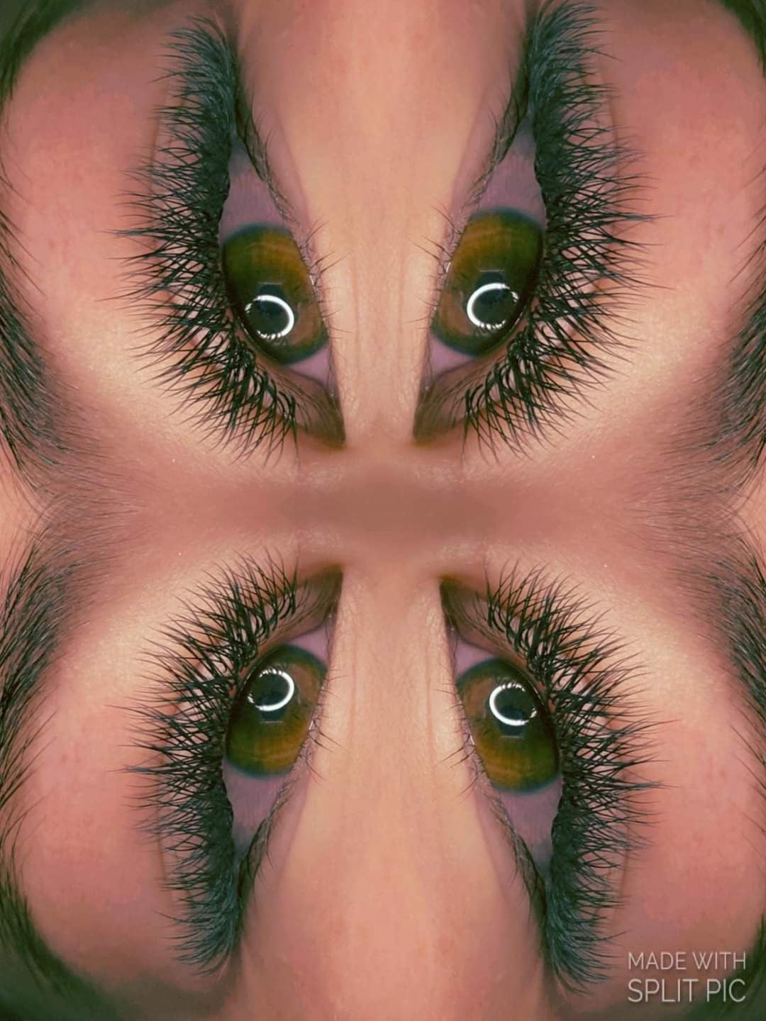 ladybuglashes lashglue lashtrays lashadhesive glueretention cloverlashes wlashes yylashes premades promades lashes