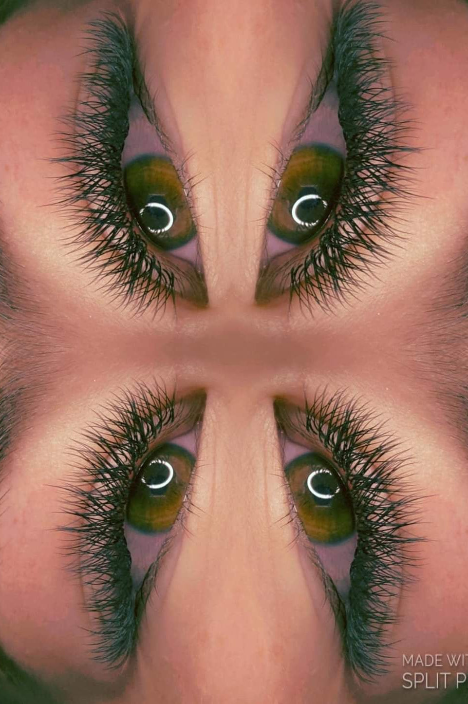 ladybuglashes lashglue lashtrays lashadhesive glueretention cloverlashes wlashes yylashes premades promades lashes