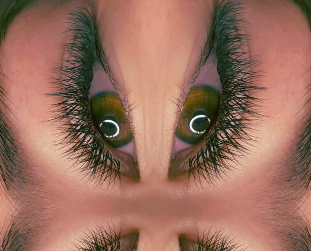 ladybuglashes lashglue lashtrays lashadhesive glueretention cloverlashes wlashes yylashes premades promades lashes