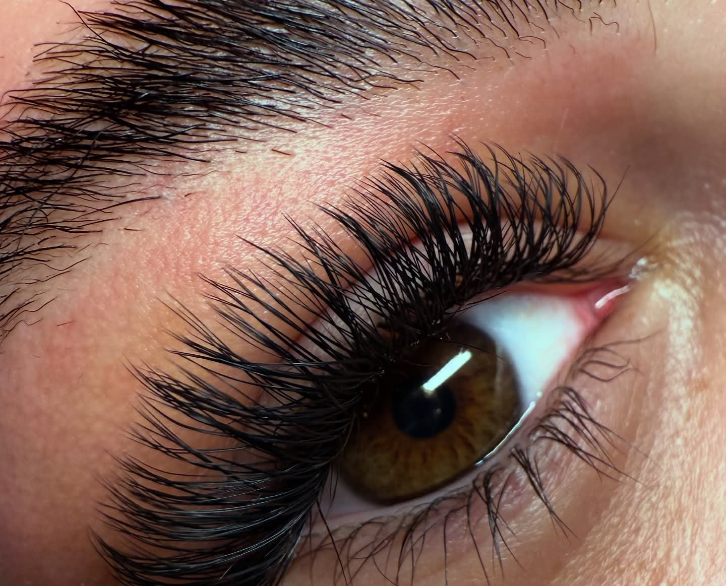 Ladybug Lashes YY Lash Sample Tray