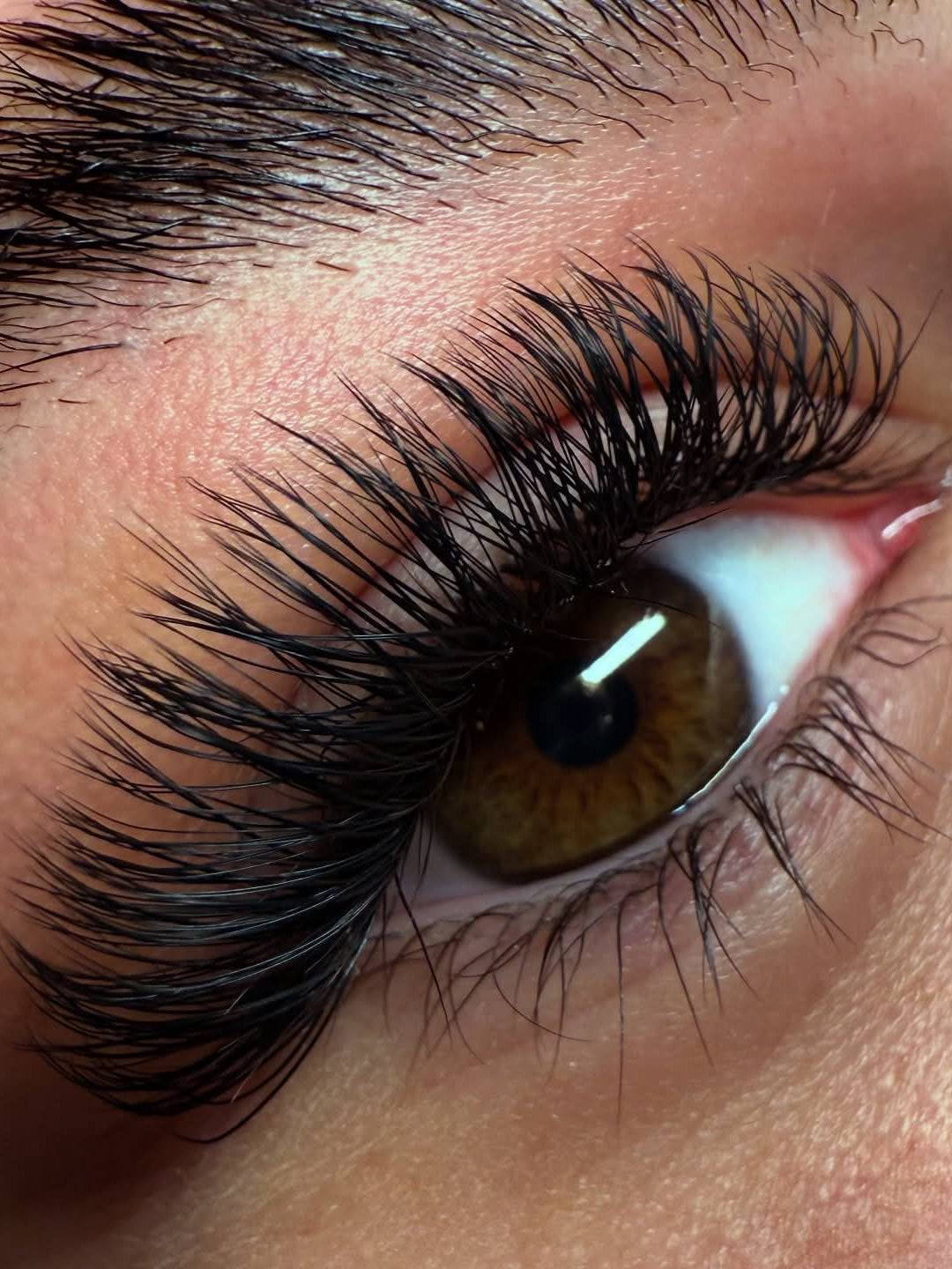 Ladybug Lashes YY Lash Sample Tray