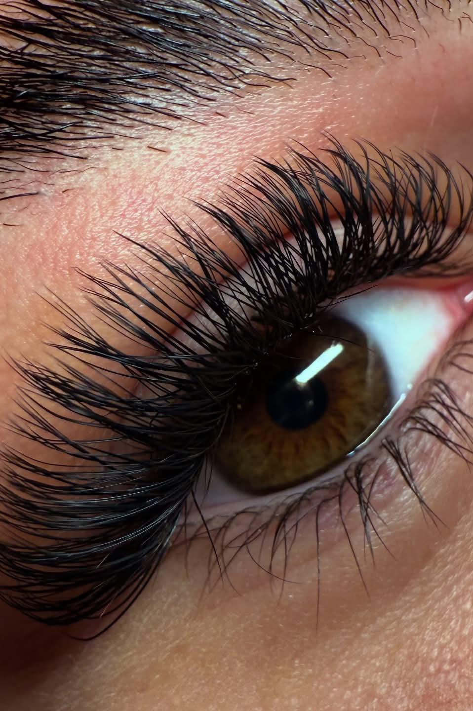 Ladybug Lashes YY Lash Sample Tray