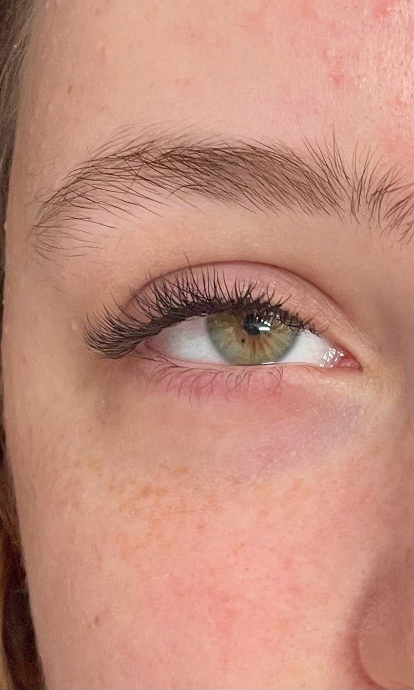 ladybuglashes lashglue lashtrays lashadhesive glueretention cloverlashes wlashes yylashes premades promades lashes