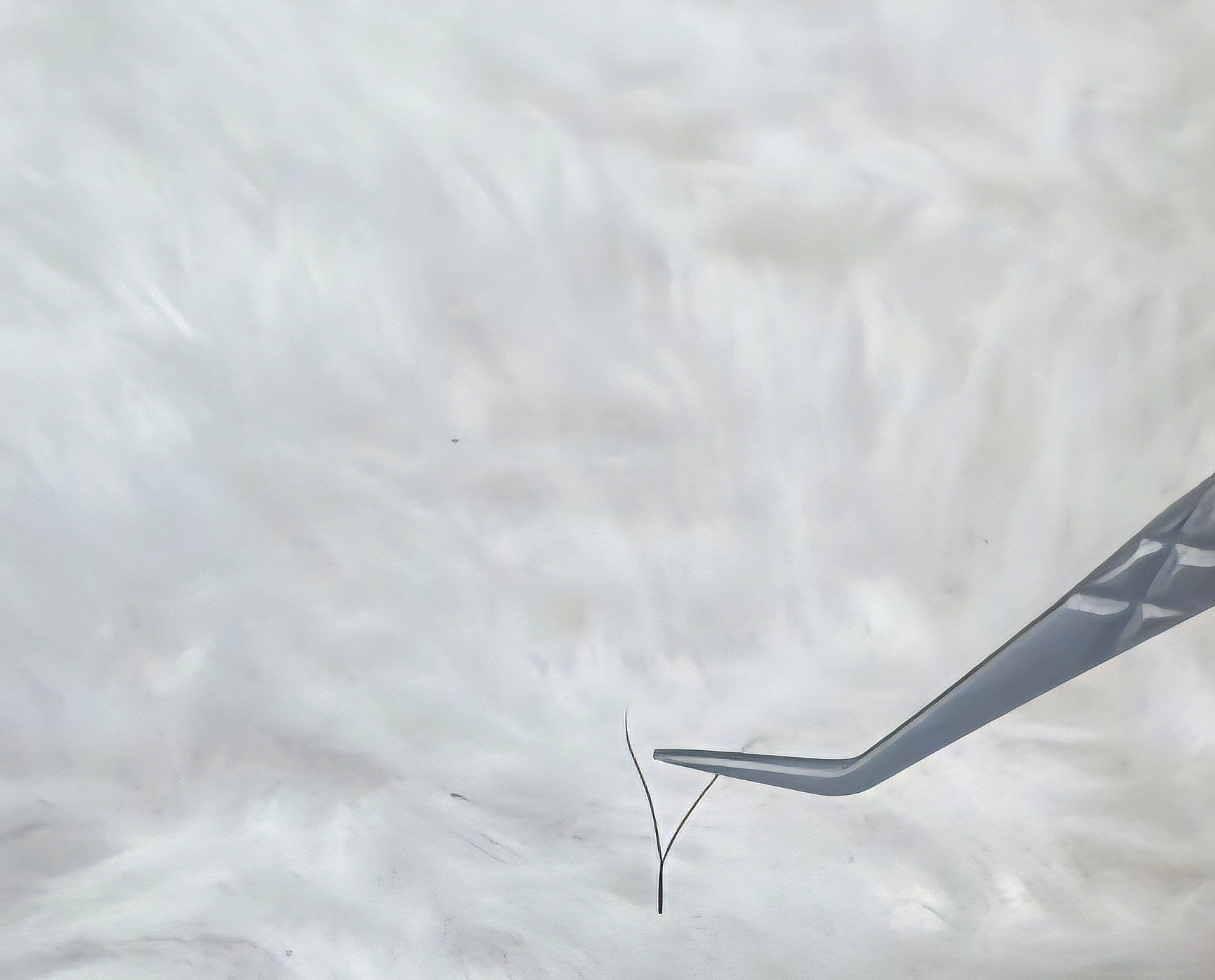 Ladybug Lashes YY Lash Sample Tray