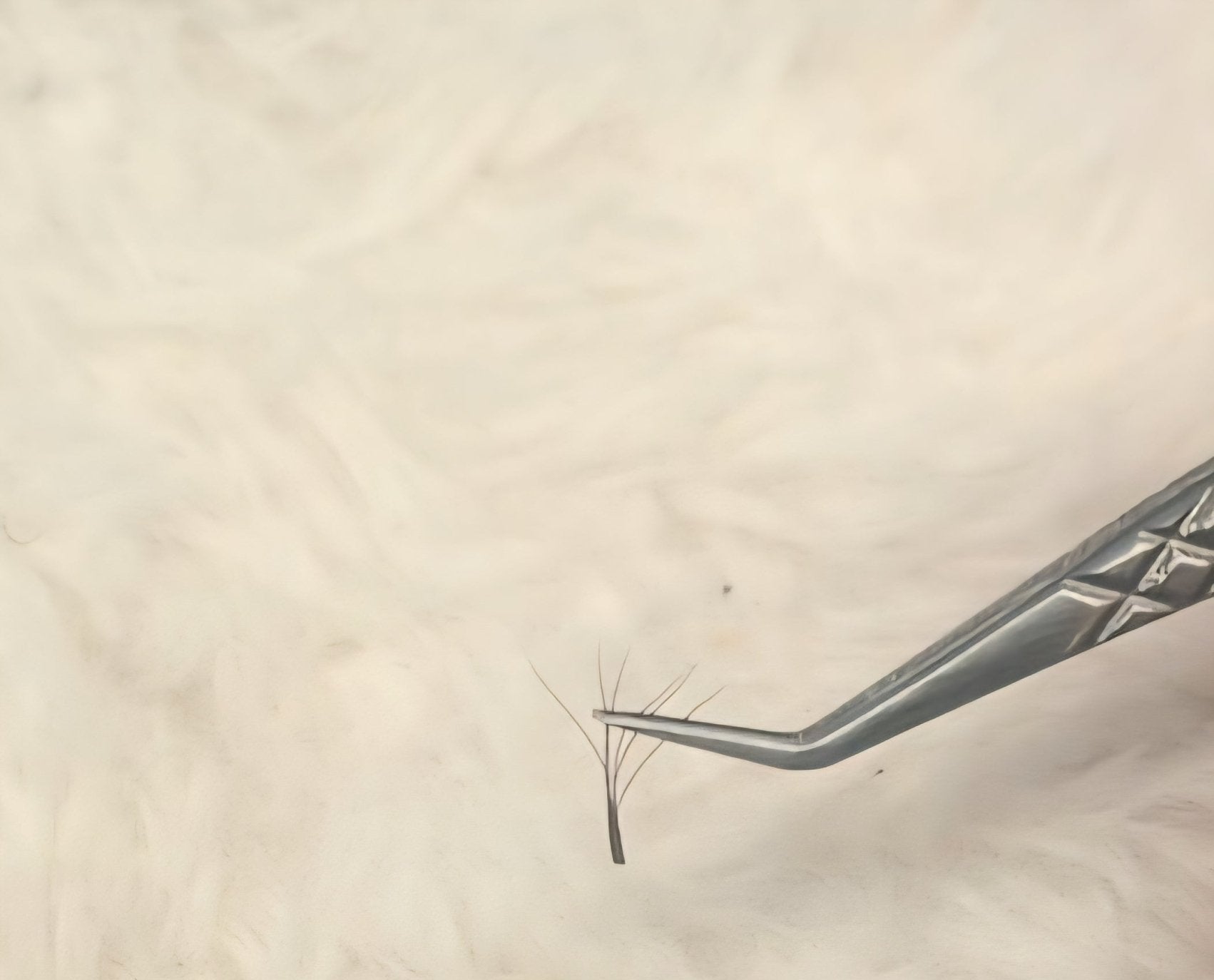 ladybuglashes lashglue lashtrays lashadhesive glueretention cloverlashes wlashes yylashes premades promades lashes