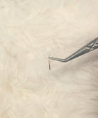 ladybuglashes lashglue lashtrays lashadhesive glueretention cloverlashes wlashes yylashes premades promades lashes