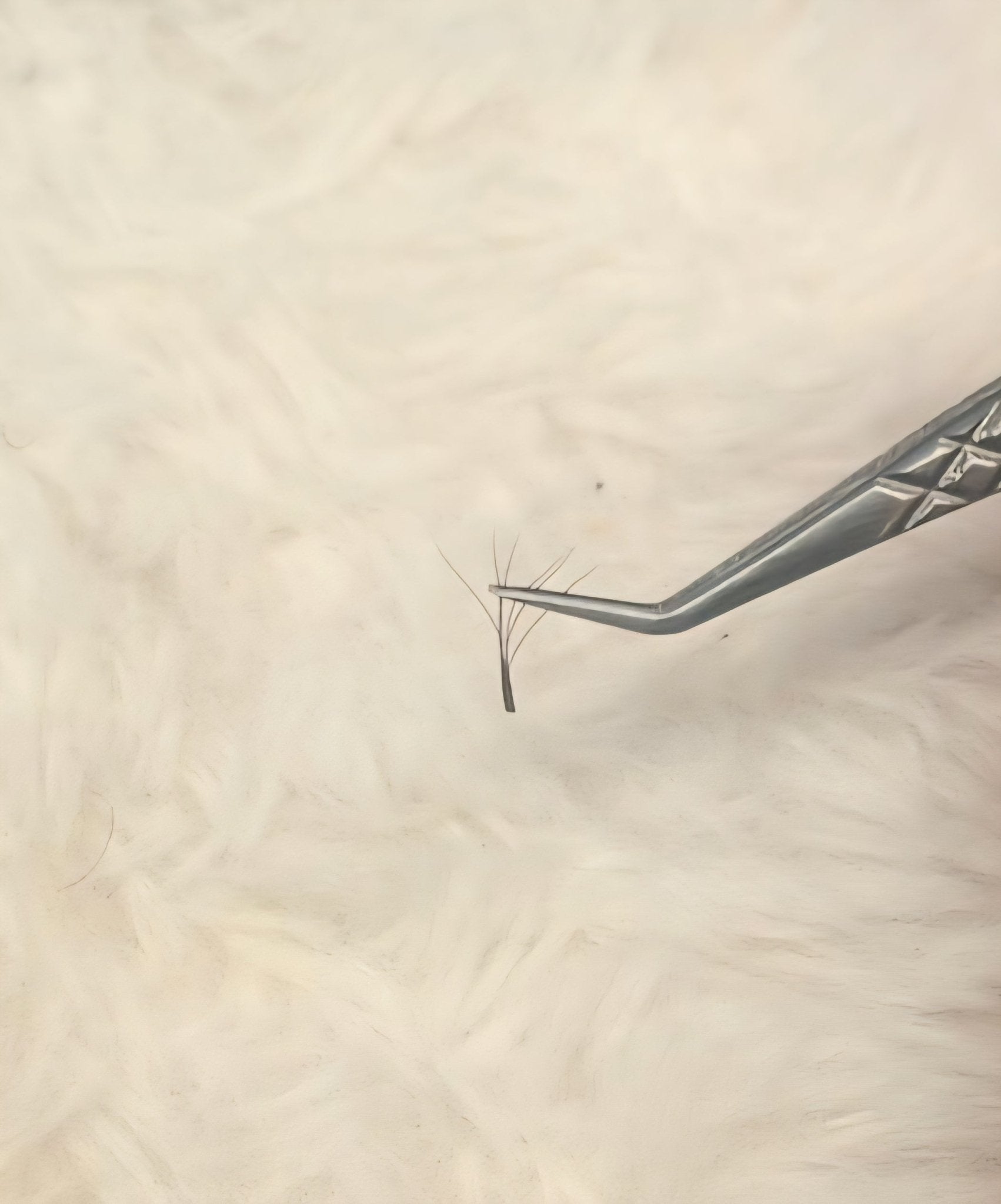 ladybuglashes lashglue lashtrays lashadhesive glueretention cloverlashes wlashes yylashes premades promades lashes