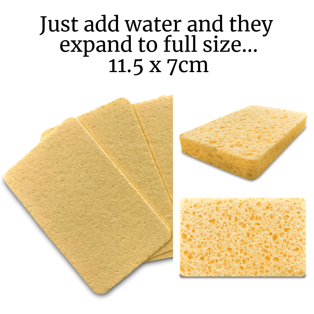 ladybuglashes lashglue lashtrays lashadhesive glueretention cloverlashes wlashes yylashes premades promades lashes