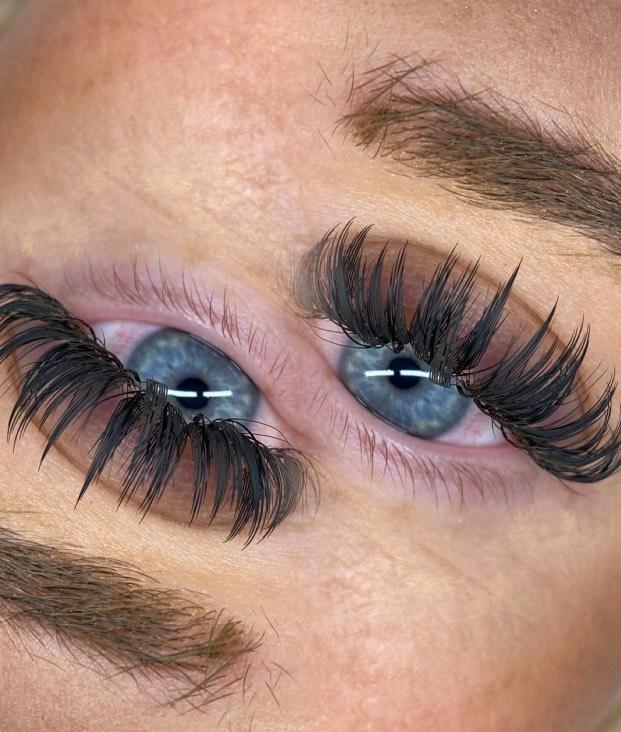 ladybuglashes lashglue lashtrays lashadhesive glueretention cloverlashes wlashes yylashes premades promades lashes