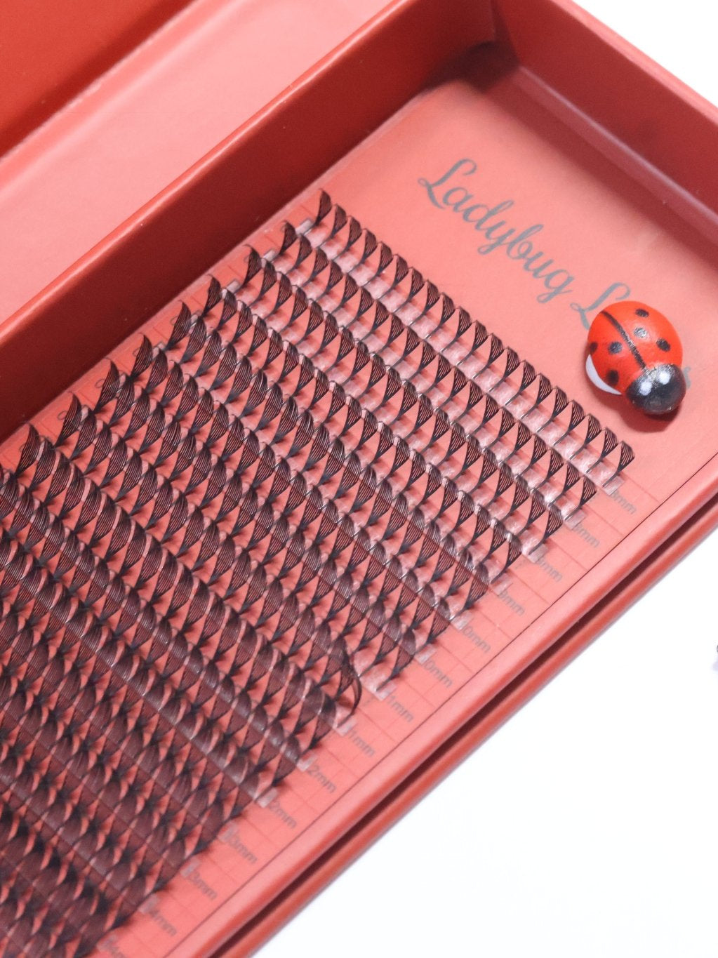 ladybuglashes lashglue lashtrays lashadhesive glueretention cloverlashes wlashes yylashes premades promades lashes