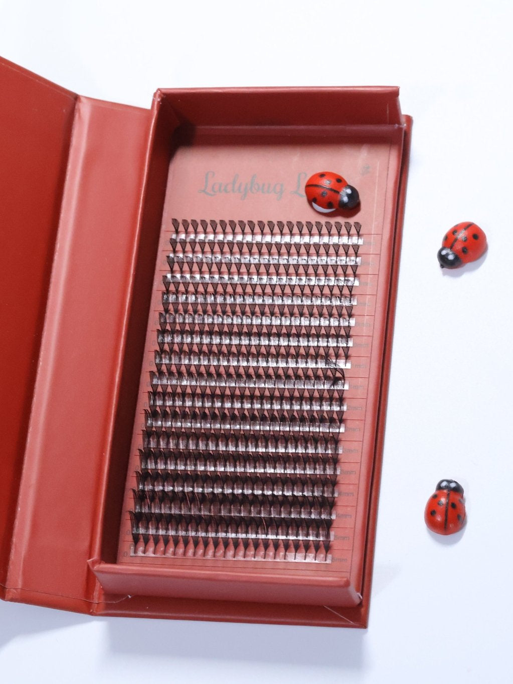 ladybuglashes lashglue lashtrays lashadhesive glueretention cloverlashes wlashes yylashes premades promades lashes