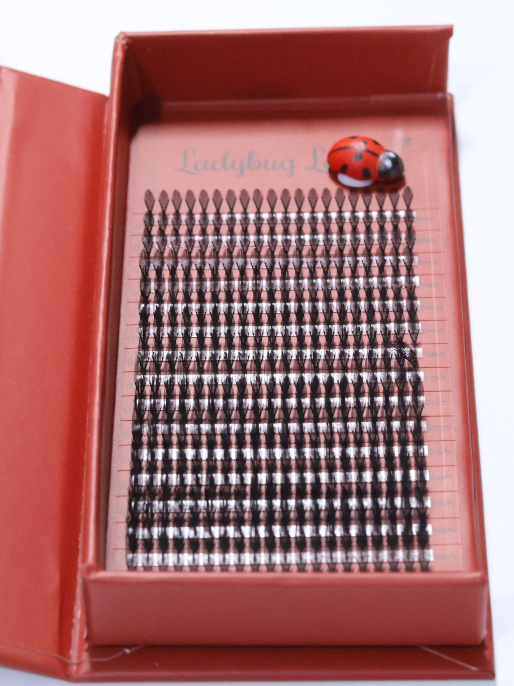 ladybuglashes lashglue lashtrays lashadhesive glueretention cloverlashes wlashes yylashes premades promades lashes