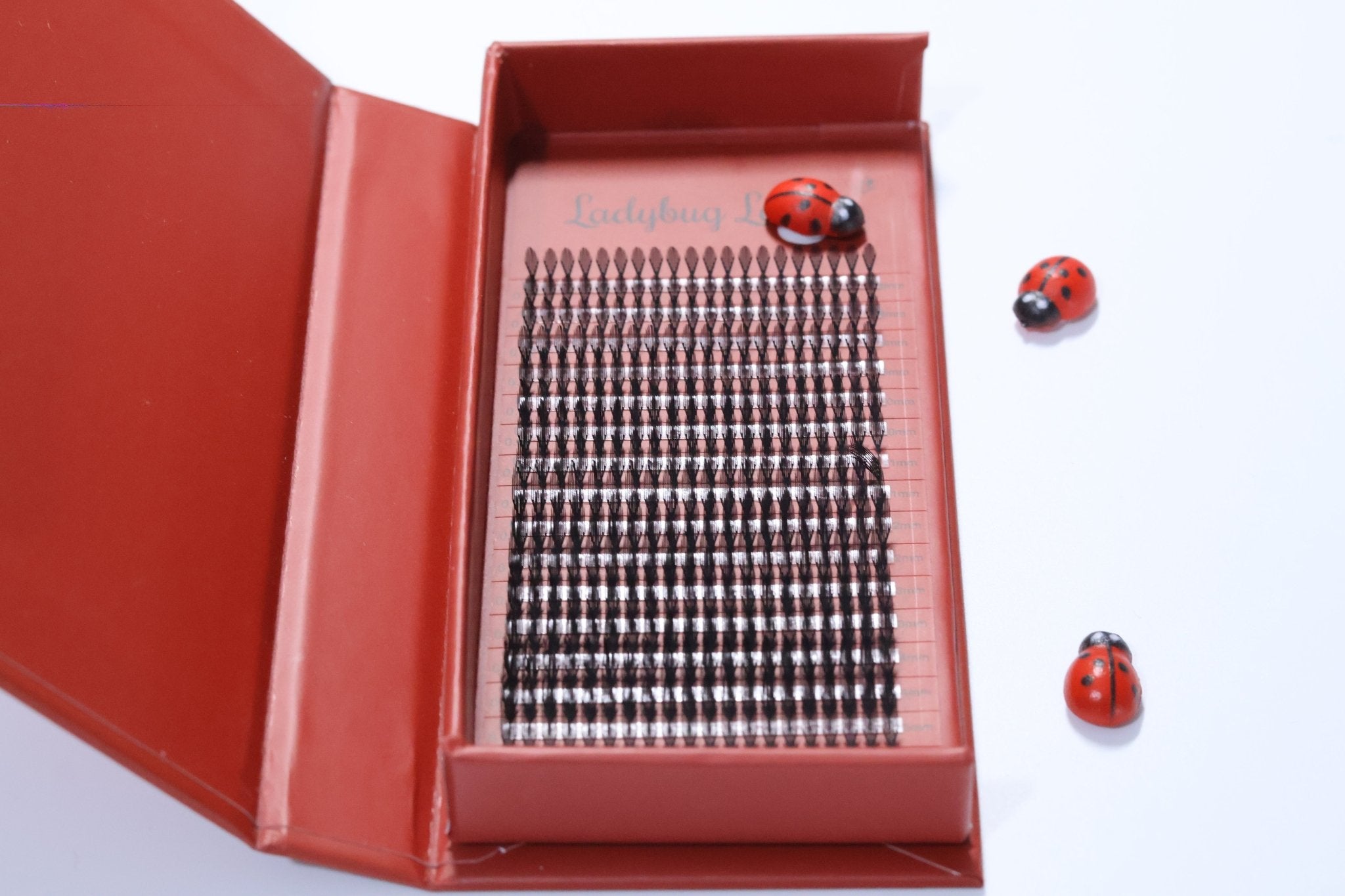 ladybuglashes lashglue lashtrays lashadhesive glueretention cloverlashes wlashes yylashes premades promades lashes