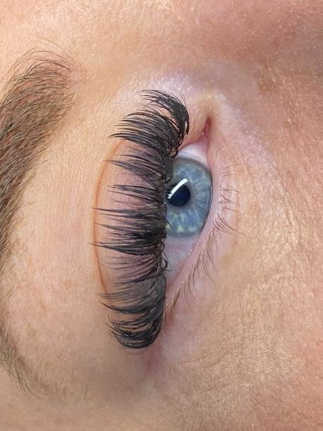 ladybuglashes lashglue lashtrays lashadhesive glueretention cloverlashes wlashes yylashes premades promades lashes