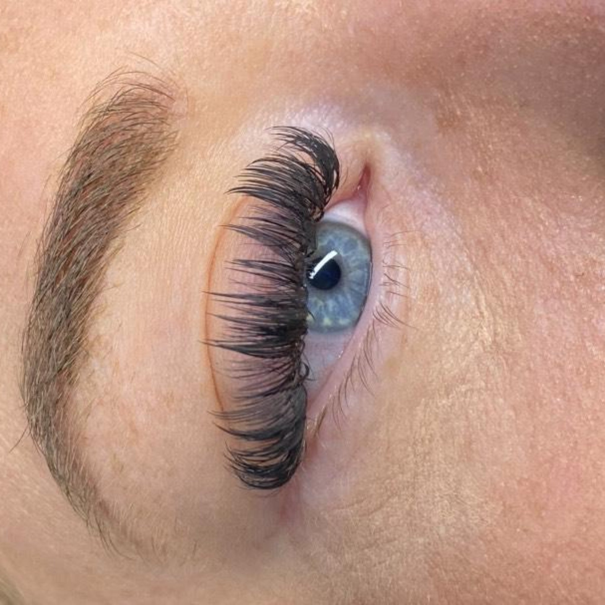 Extreme close-up side view of Anime Feather lash extension set on blue-grey eye showing dramatic feather spike definition and full dense volume
