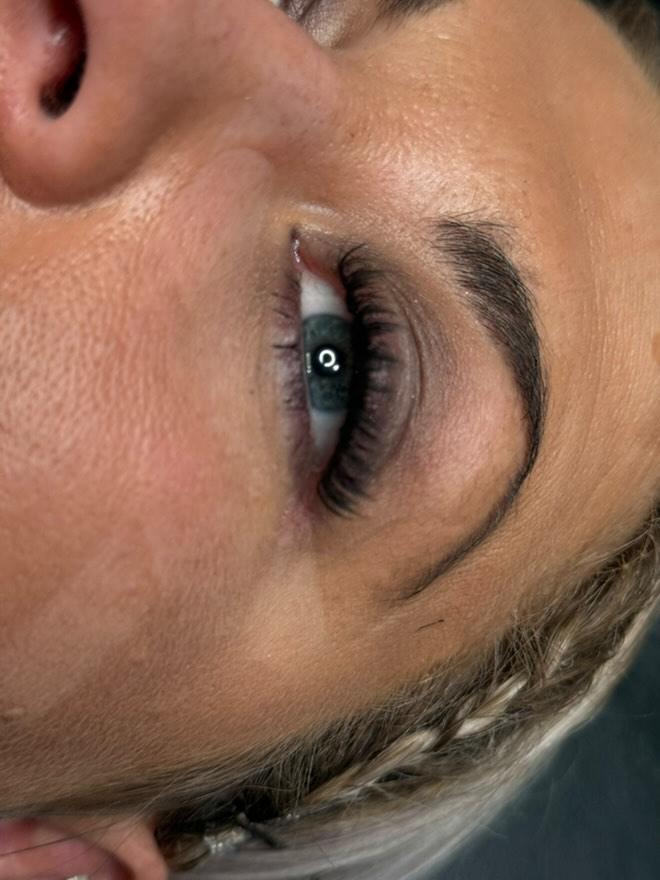 ladybuglashes lashglue lashtrays lashadhesive glueretention cloverlashes wlashes yylashes premades promades lashes