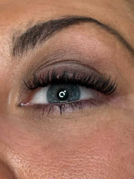 ladybuglashes lashglue lashtrays lashadhesive glueretention cloverlashes wlashes yylashes premades promades lashes