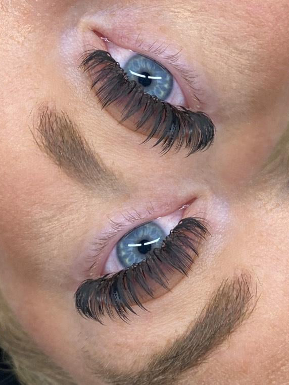 ladybuglashes lashglue lashtrays lashadhesive glueretention cloverlashes wlashes yylashes premades promades lashes