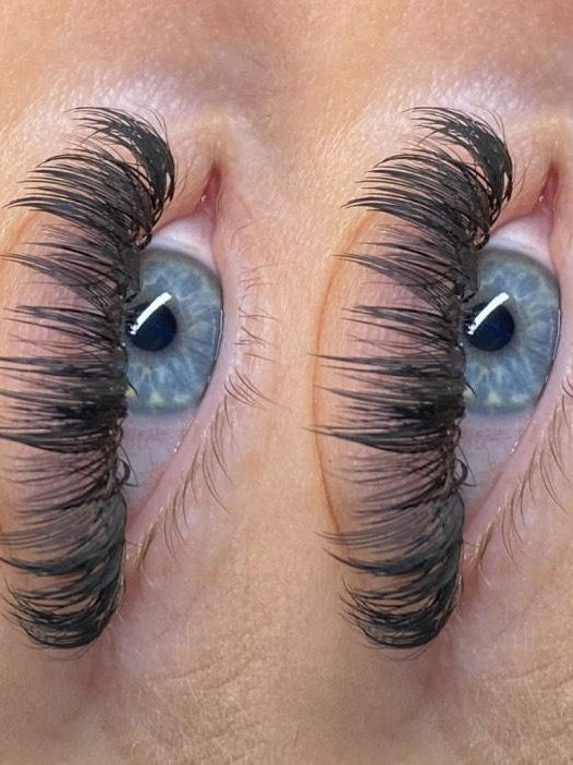 ladybuglashes lashglue lashtrays lashadhesive glueretention cloverlashes wlashes yylashes premades promades lashes