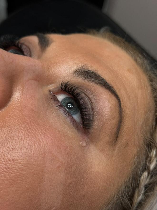 ladybuglashes lashglue lashtrays lashadhesive glueretention cloverlashes wlashes yylashes premades promades lashes