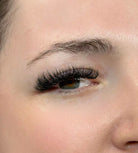 8D Clover Lashes 16 row mixed tray