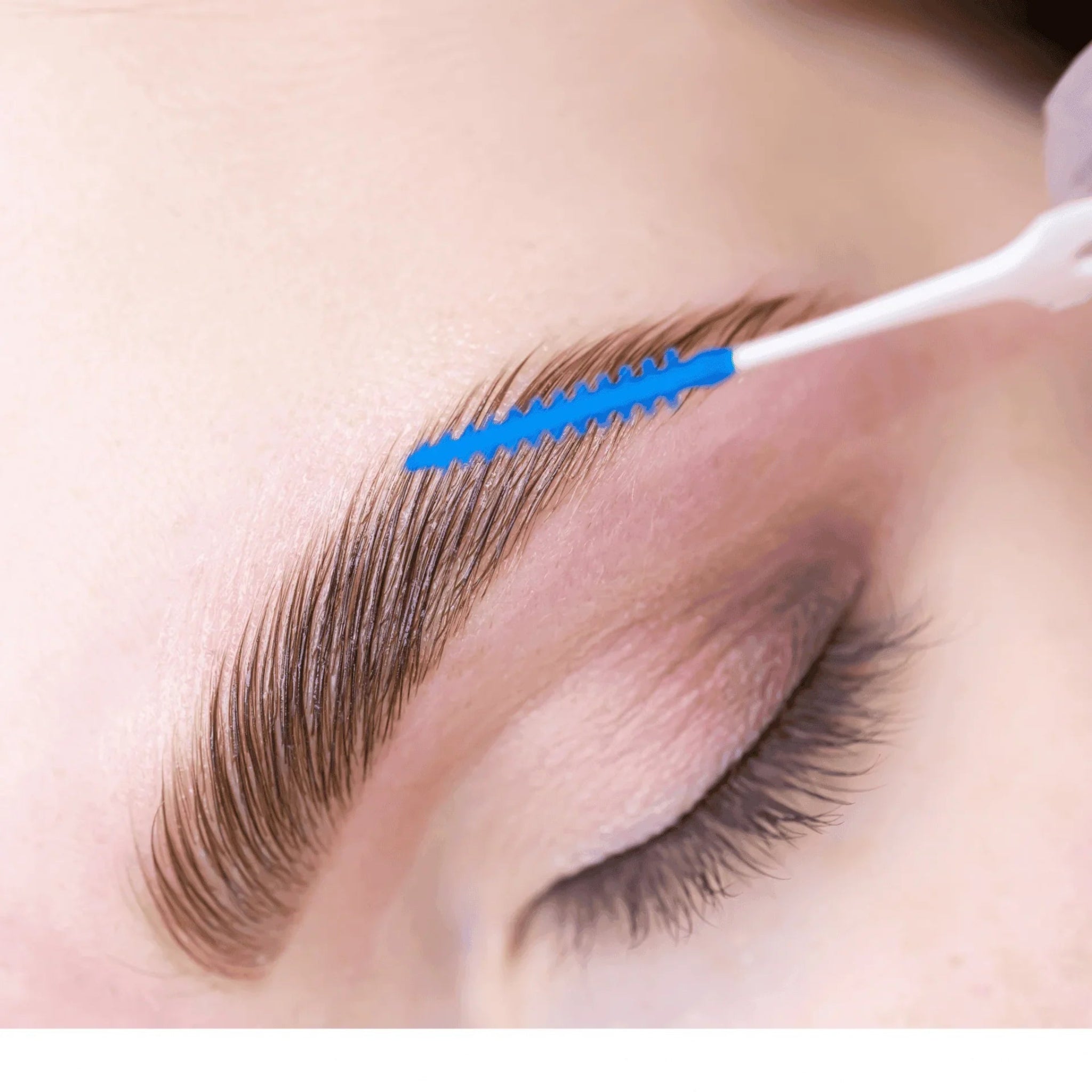London Brow Company Brow Lamination Waxing and Tinting Course Beginners 3 Course Bundle promotional graphic showing course title and branding on cream background